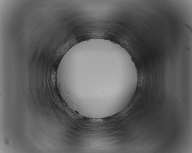 X0000102040334200807181036