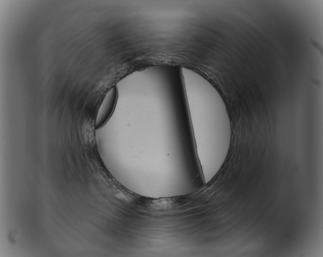 X0000102040335200807181036