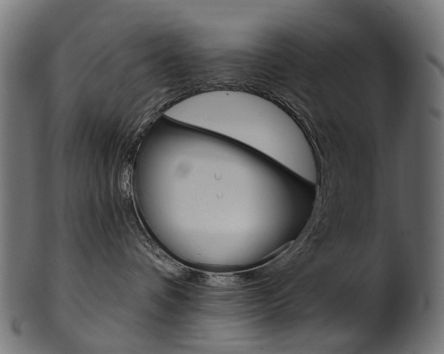 X0000102040336200807181035