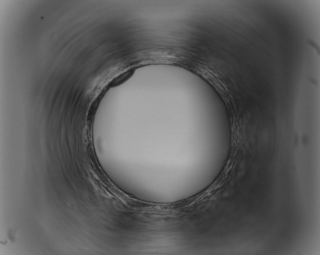 X0000102040338200807181035