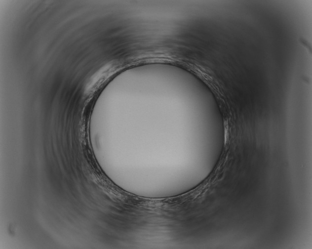 X0000102040339200807181035