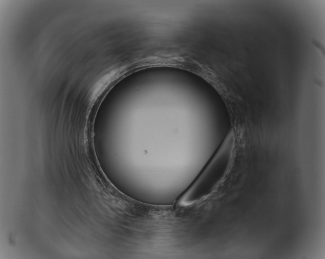 X0000102040340200807181035