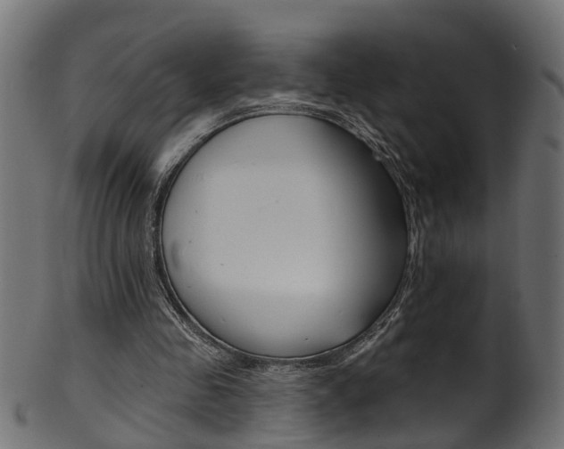 X0000102040341200807181035