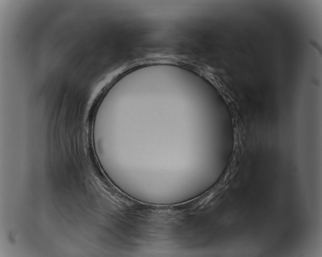 X0000102040342200807181035