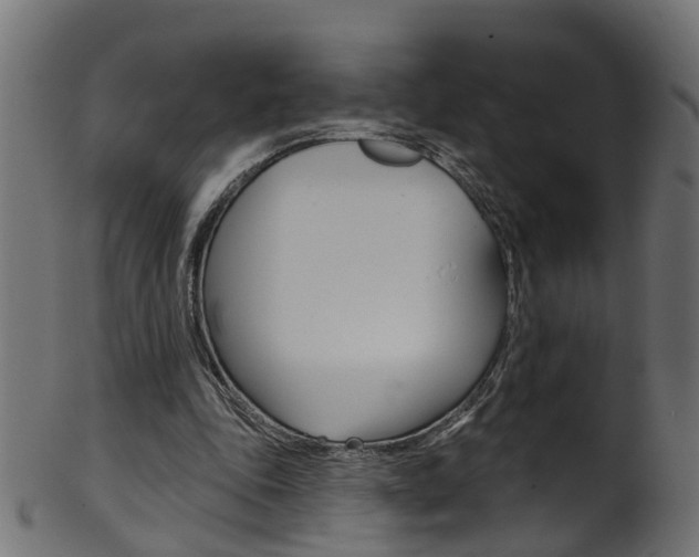 X0000102040343200807181035