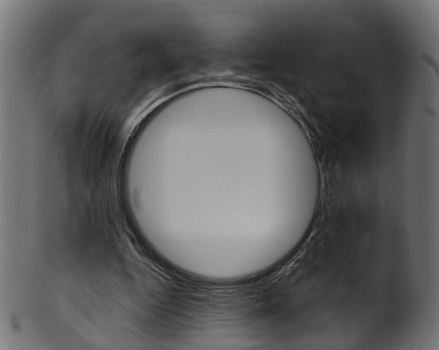 X0000102040344200807181035