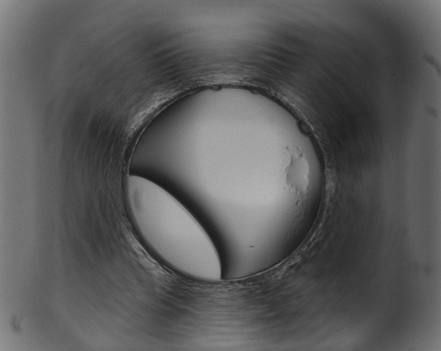 X0000102040345200807181035