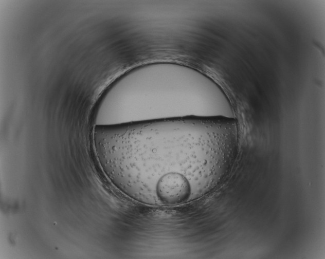 X0000102040346200807181035