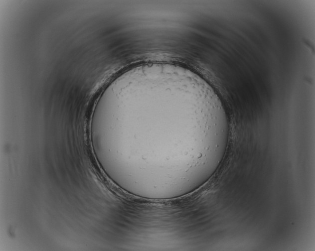 X0000102040347200807181035