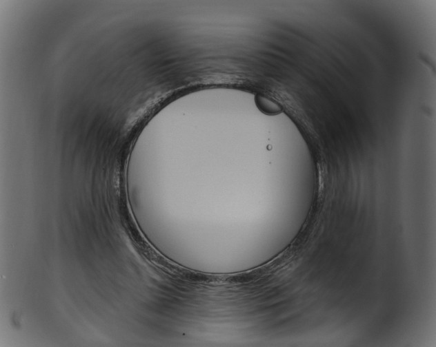 X0000102040348200807181035