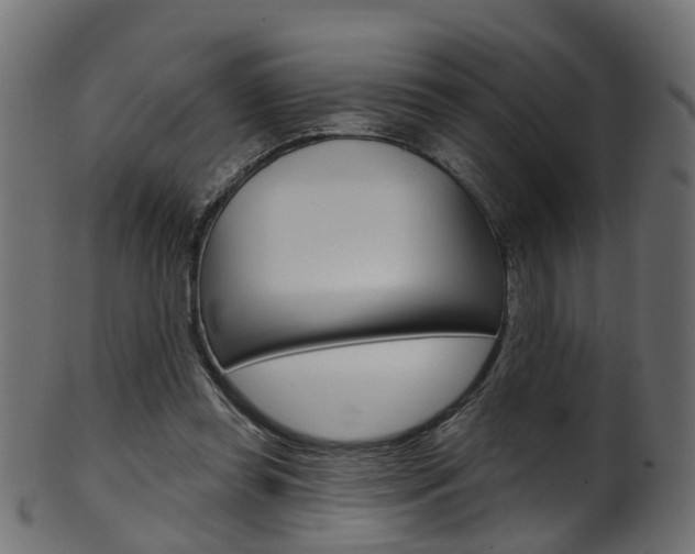 X0000102040349200807181035