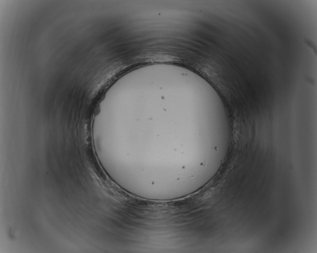 X0000102040351200807181035