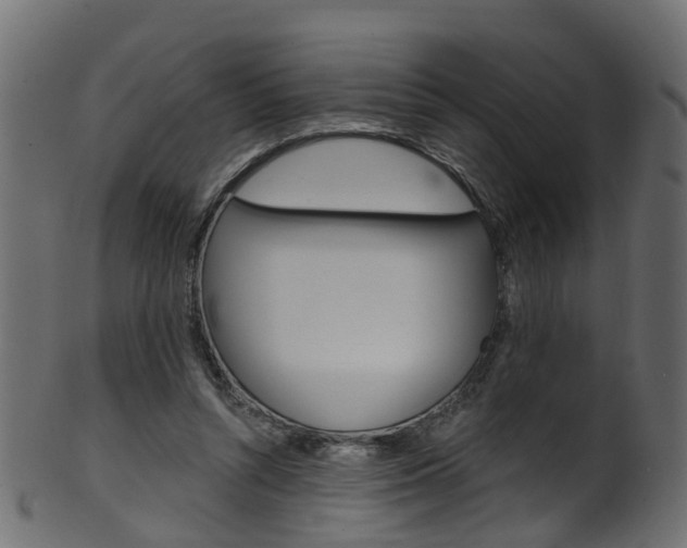 X0000102040352200807181035