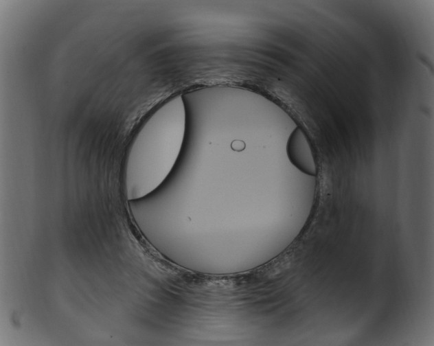 X0000102040353200807181035