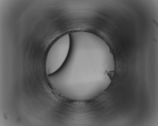 X0000102040354200807181035