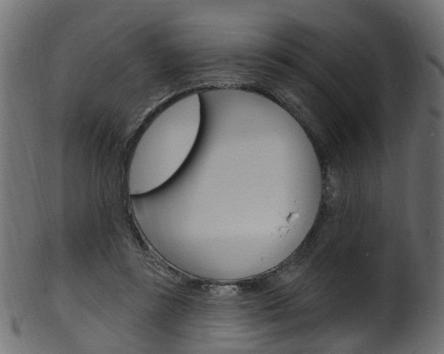 X0000102040355200807181035