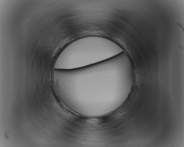 X0000102040357200807181035