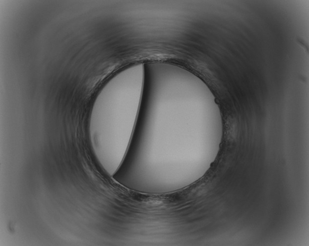 X0000102040358200807181035