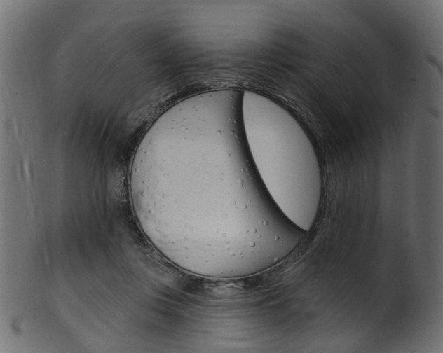 X0000102040359200807181035