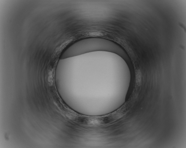X0000102040360200807181035