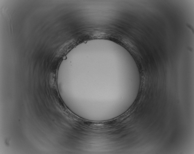 X0000102040361200807181035