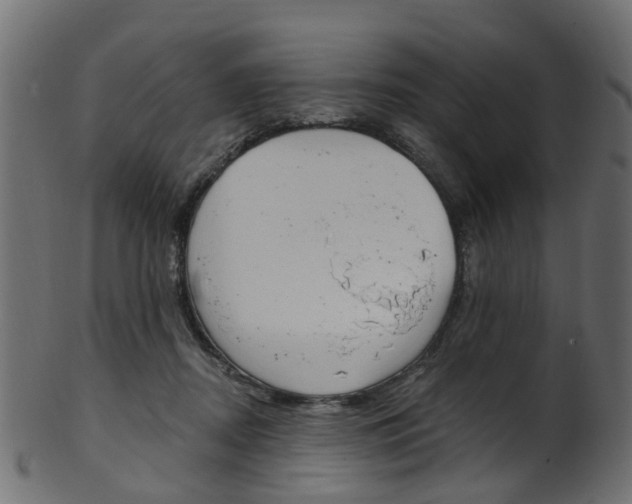 X0000102040362200807181035