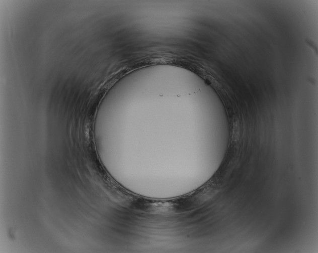 X0000102040363200807181035