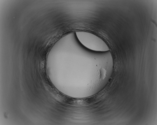 X0000102040365200807181035