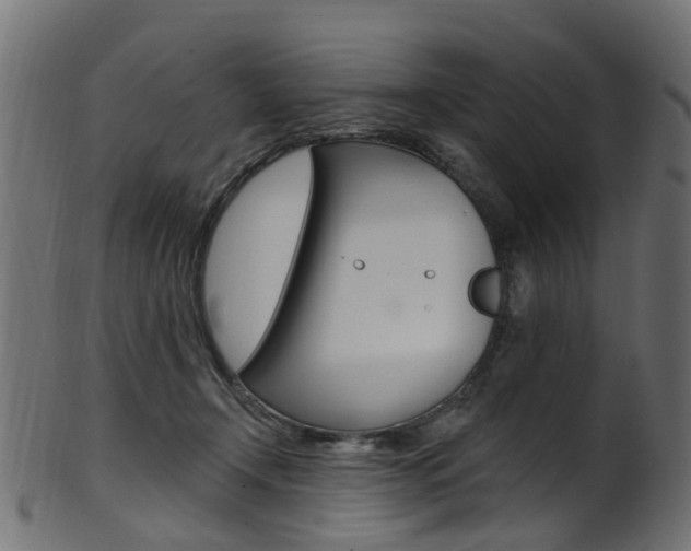X0000102040366200807181035