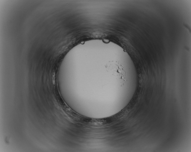X0000102040368200807181035