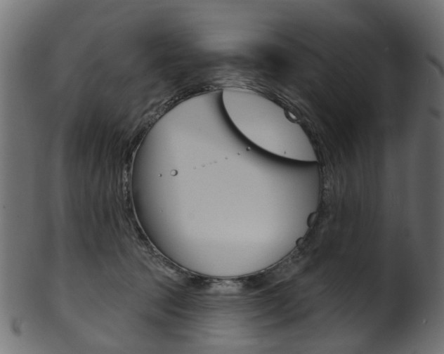 X0000102040369200807181035