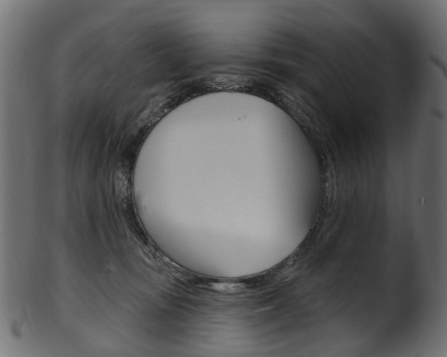 X0000102040371200807181035