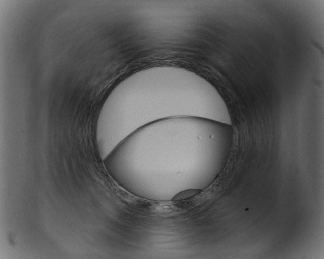 X0000102040372200807181035