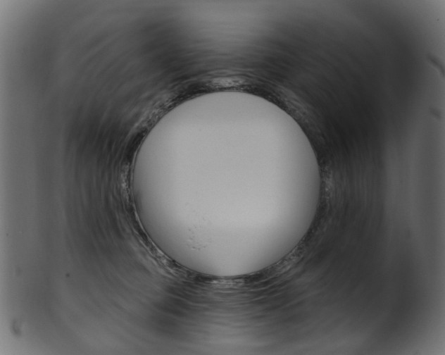 X0000102040373200807181035