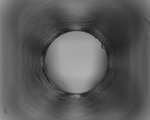X0000102040374200807181035