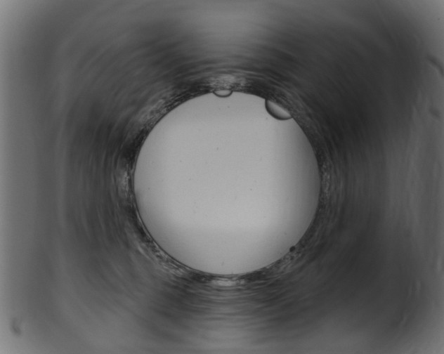 X0000102040375200807181035