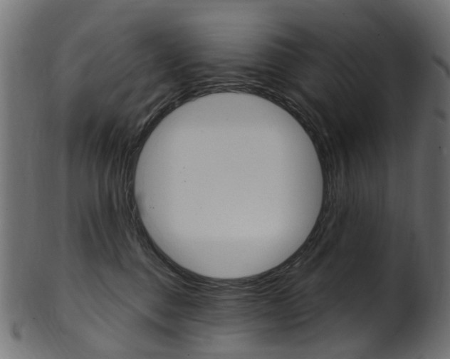 X0000102040376200807181035