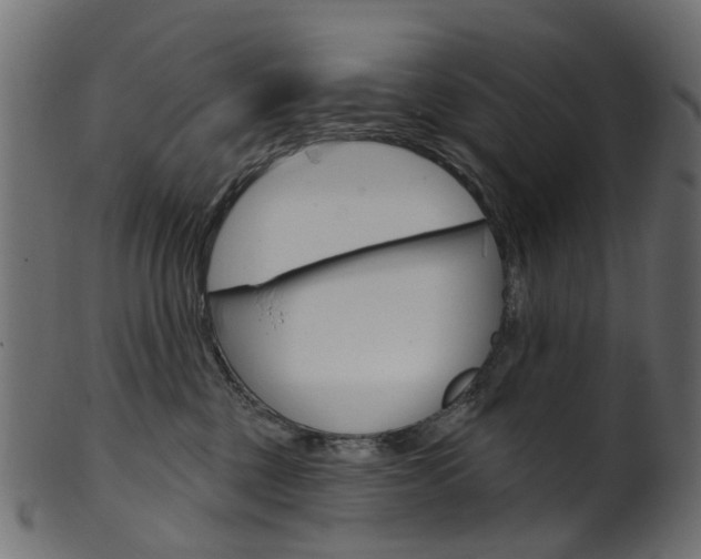 X0000102040377200807181035