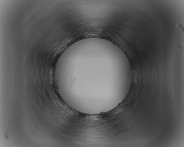 X0000102040378200807181035