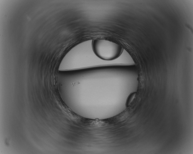X0000102040379200807181035