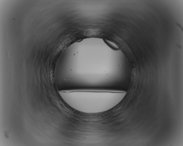 X0000102040380200807181035