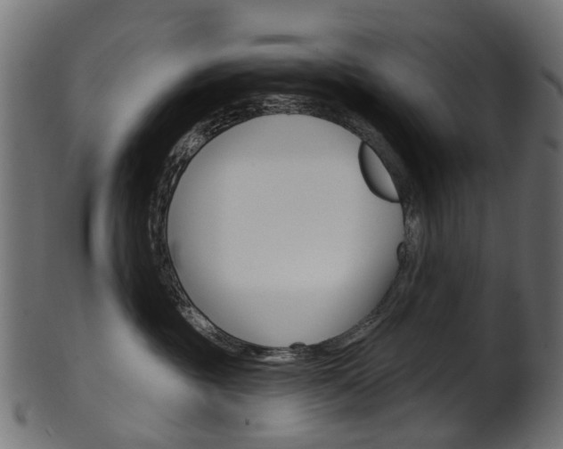 X0000102040381200807181035