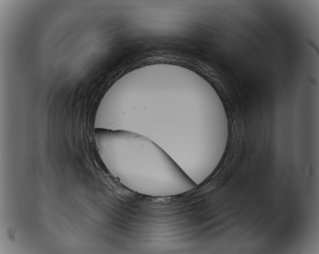X0000102040382200807181035