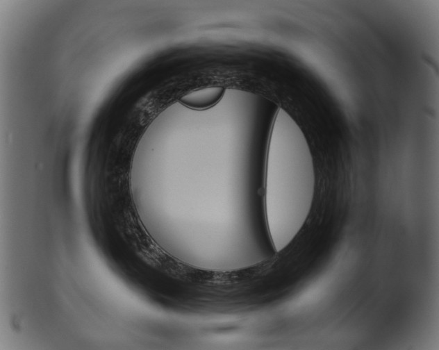 X0000102040383200807181035