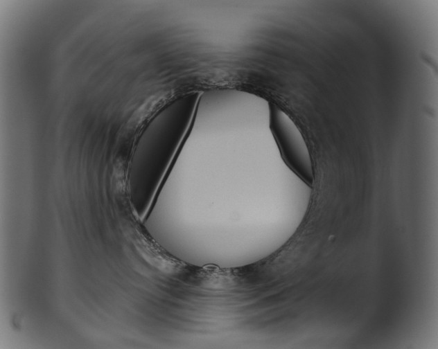 X0000102040384200807181035