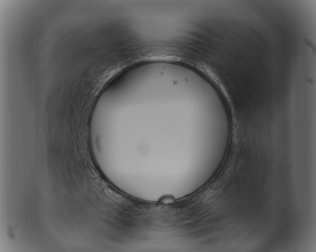 X0000102040385200807181035