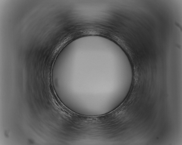 X0000102040386200807181035