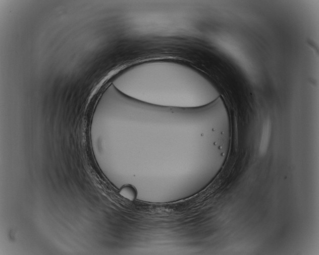 X0000102040387200807181035