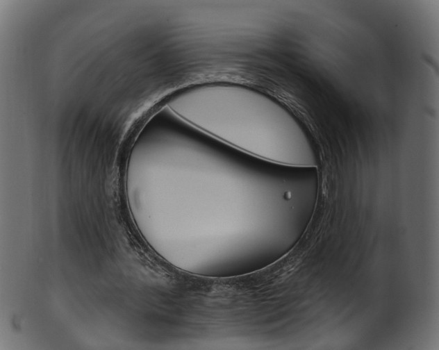 X0000102040388200807181035