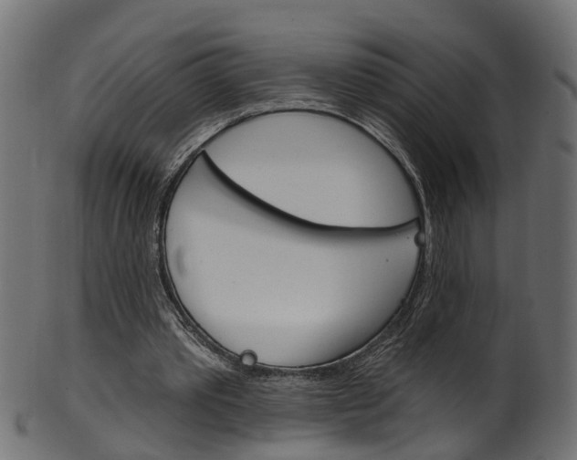 X0000102040389200807181035